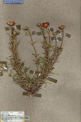 URN_catalog_HBHinton_herbarium_18678.jpg.jpg
