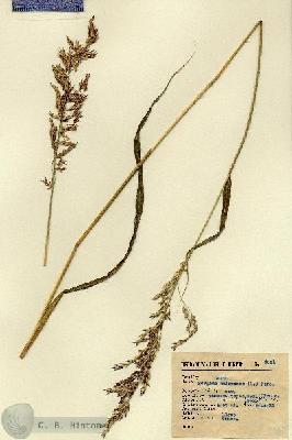 URN_catalog_HBHinton_herbarium_4031.jpg.jpg