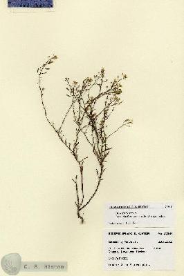 URN_catalog_HBHinton_herbarium_27884.jpg.jpg